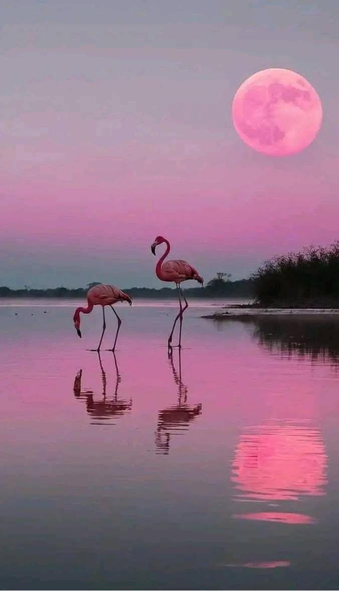 La Passiflore Vergèze Dış mekan fotoğraf
